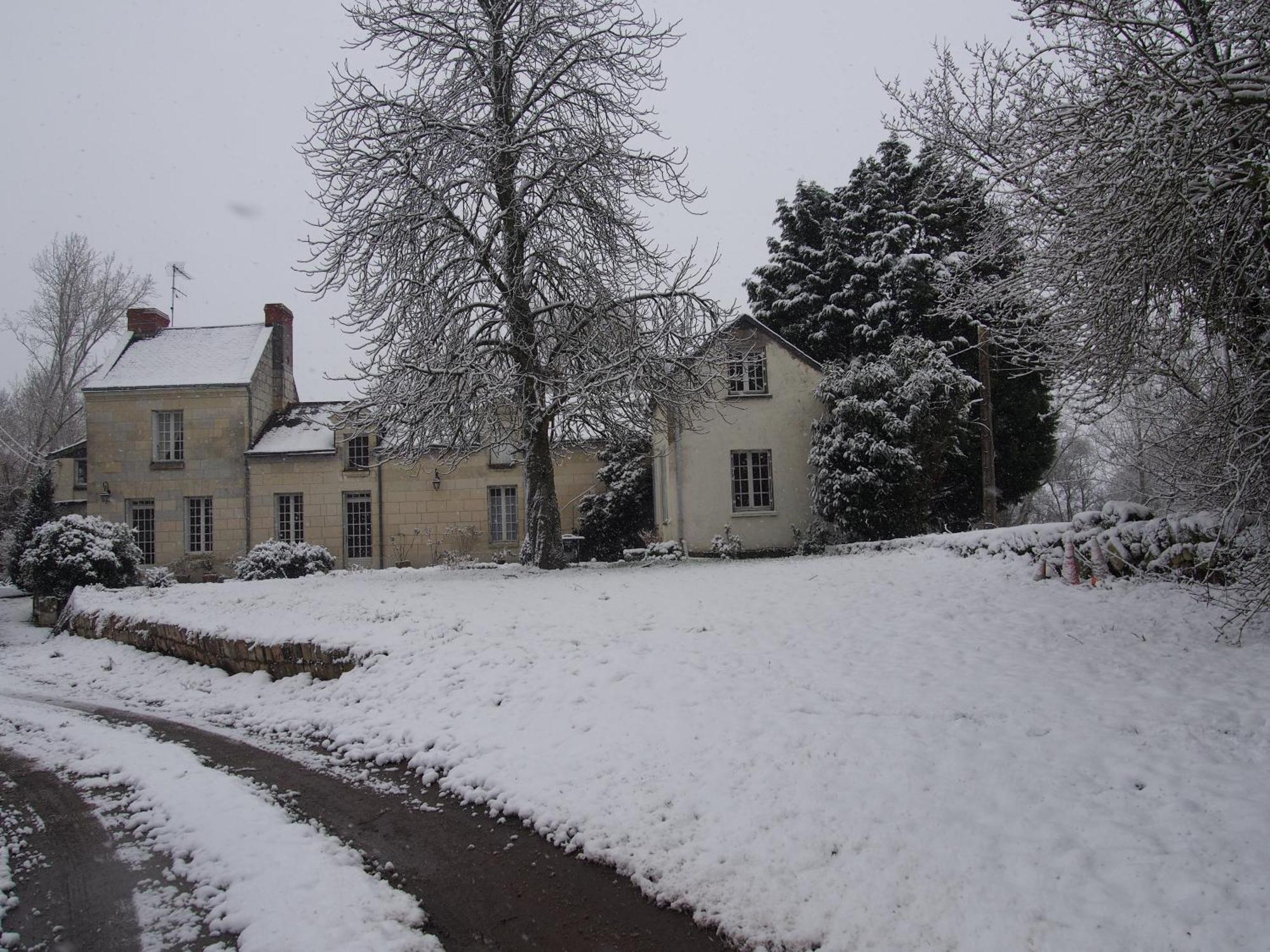 Chambres D'Hotes De L'Ile Du Saule Saumur Exterior photo